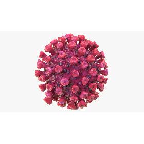 Empire State Building New York